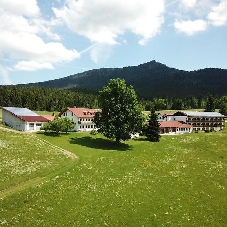 Osserhotel - B&B Am Osser Lohberg Dış mekan fotoğraf