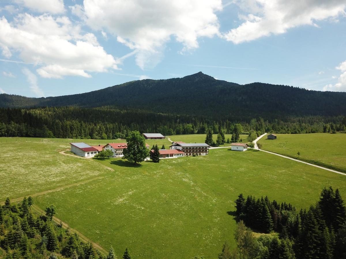 Osserhotel - B&B Am Osser Lohberg Dış mekan fotoğraf