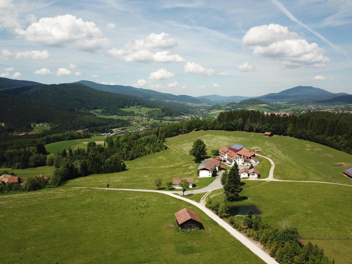 Osserhotel - B&B Am Osser Lohberg Dış mekan fotoğraf