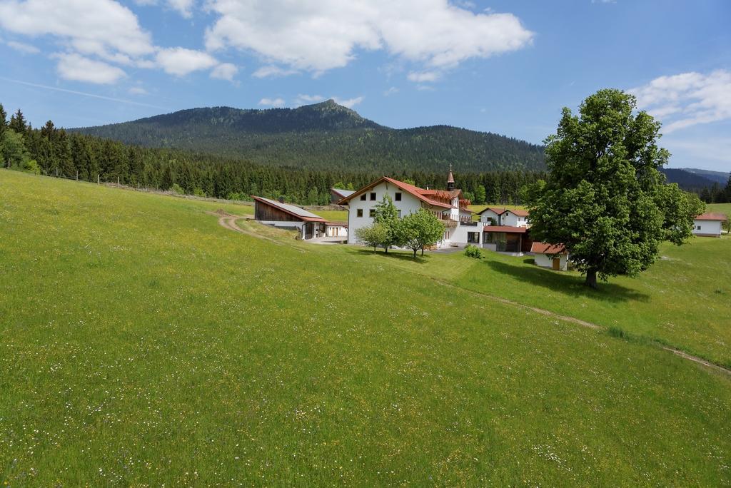 Osserhotel - B&B Am Osser Lohberg Dış mekan fotoğraf